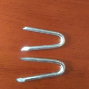 Linyi Factory Galvanized U Shaped Nail