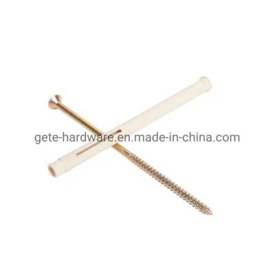 Nylon Hammer Drive Anchor with Philips Drive Screw/ Mushroom Hammer Drive Anchor