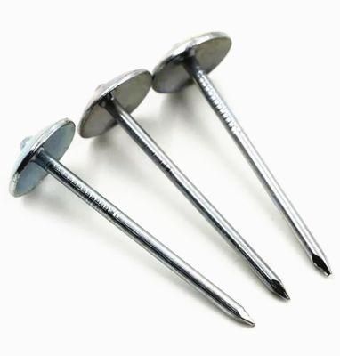 Iron Nails Galvanized Umbrella Head China Roofing Nail in Guangzhou