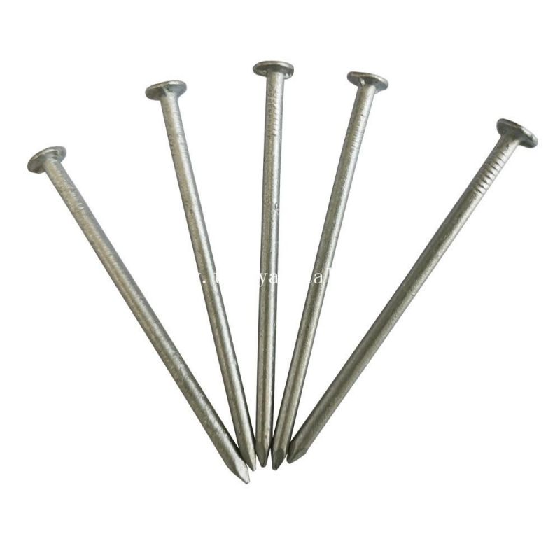 Hot Dipped Galvanized Headless Finishing Nails Brad Head Nail