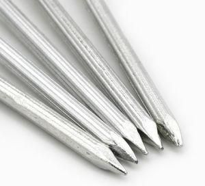 #45 #55 Steel Galvanized Concrete Nails