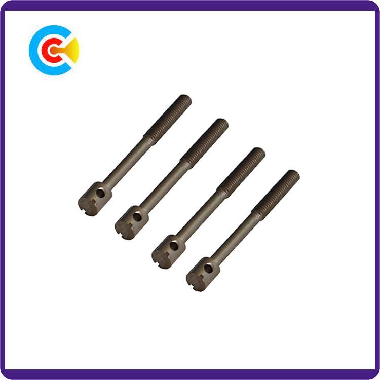 GB/DIN/JIS/ANSI Carbon-Steel/Stainless-Steel Slotted Shrink Rod Seal Screw for Building Railway