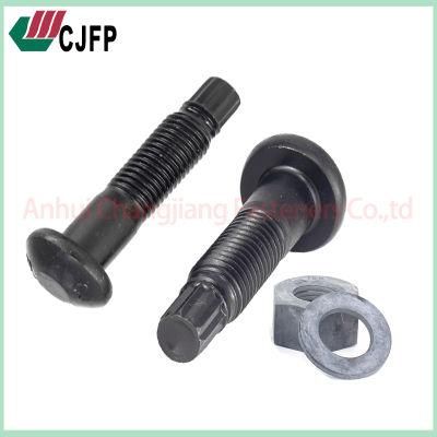 Torque Shear Bolt 10.9s High Strength for Steel Structure GB/T 3632-2008 Ts Bolt
