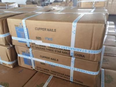 Cheap Price Galvanized Ceiling Nails/Clout Nails/Manufactures Flet Nails