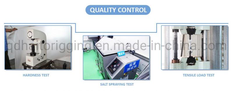 Good Price Bright or Galvanized DIN 582 Ring-Nut with High Quality