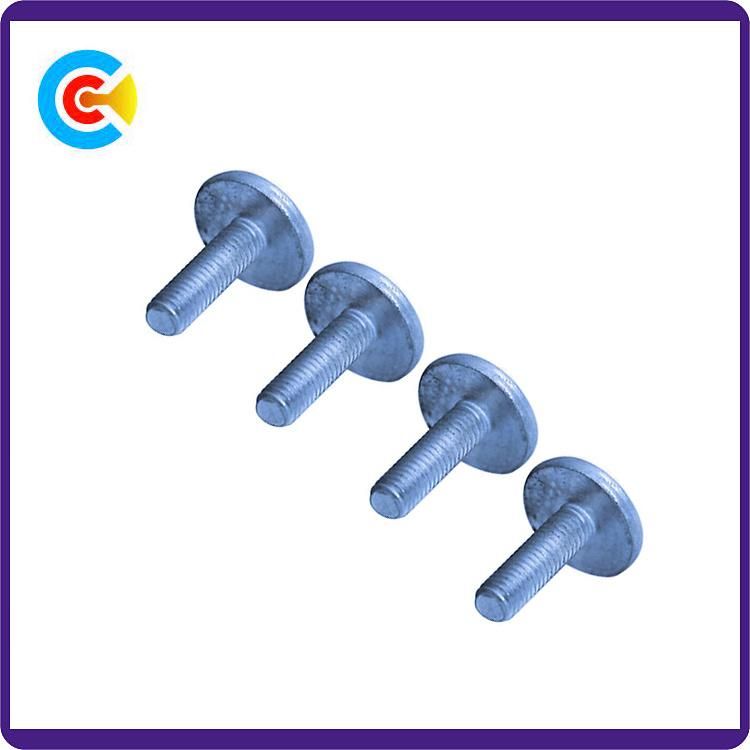 DIN/ANSI/BS/JIS Carbon-Steel/Stainless-Steel Non-Standard Round Head Screws Flat Plastic Fastening Screws