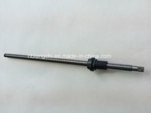 Customized Set Thin-Thread Tooth Trapezoidal Thread Ball Screw Lead Screw with POM Nuts Tr12X10 (p2.5)
