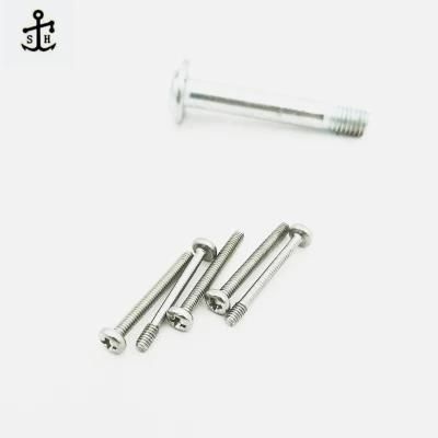 China Supplier Custom Fasteners Stainless Steel Precision Micro Screw for Electronics