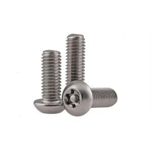 Zinc Plated Philips Pan Round Head Security Screw Safety Torx Screw with Pin