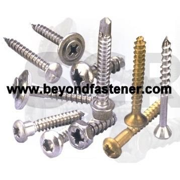Self Tapping Screw China Factory