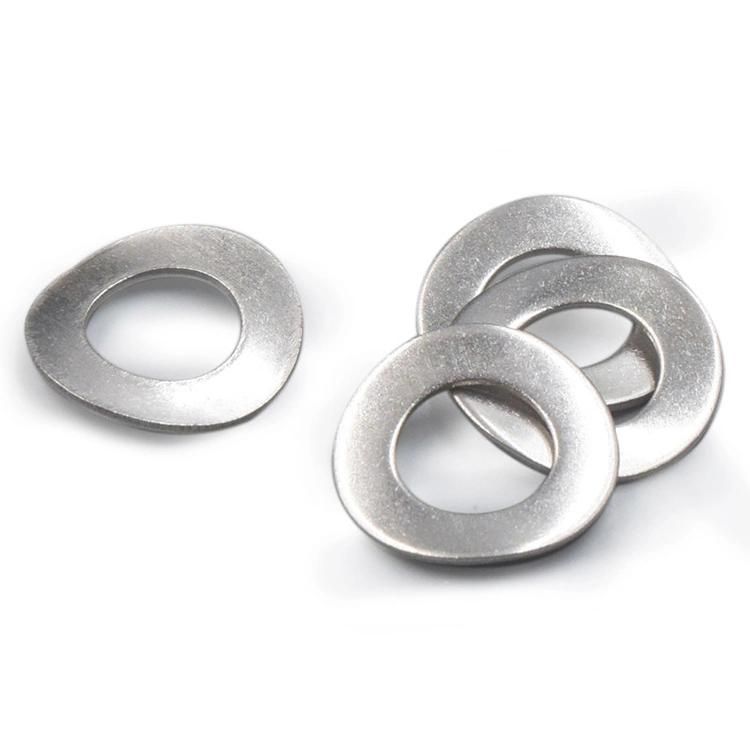Hot Sale DIN137 M6 M10 M12 M16 M20 M24 M30 Stainless Steel SS304 SS316 Lock Wave Spring Washer