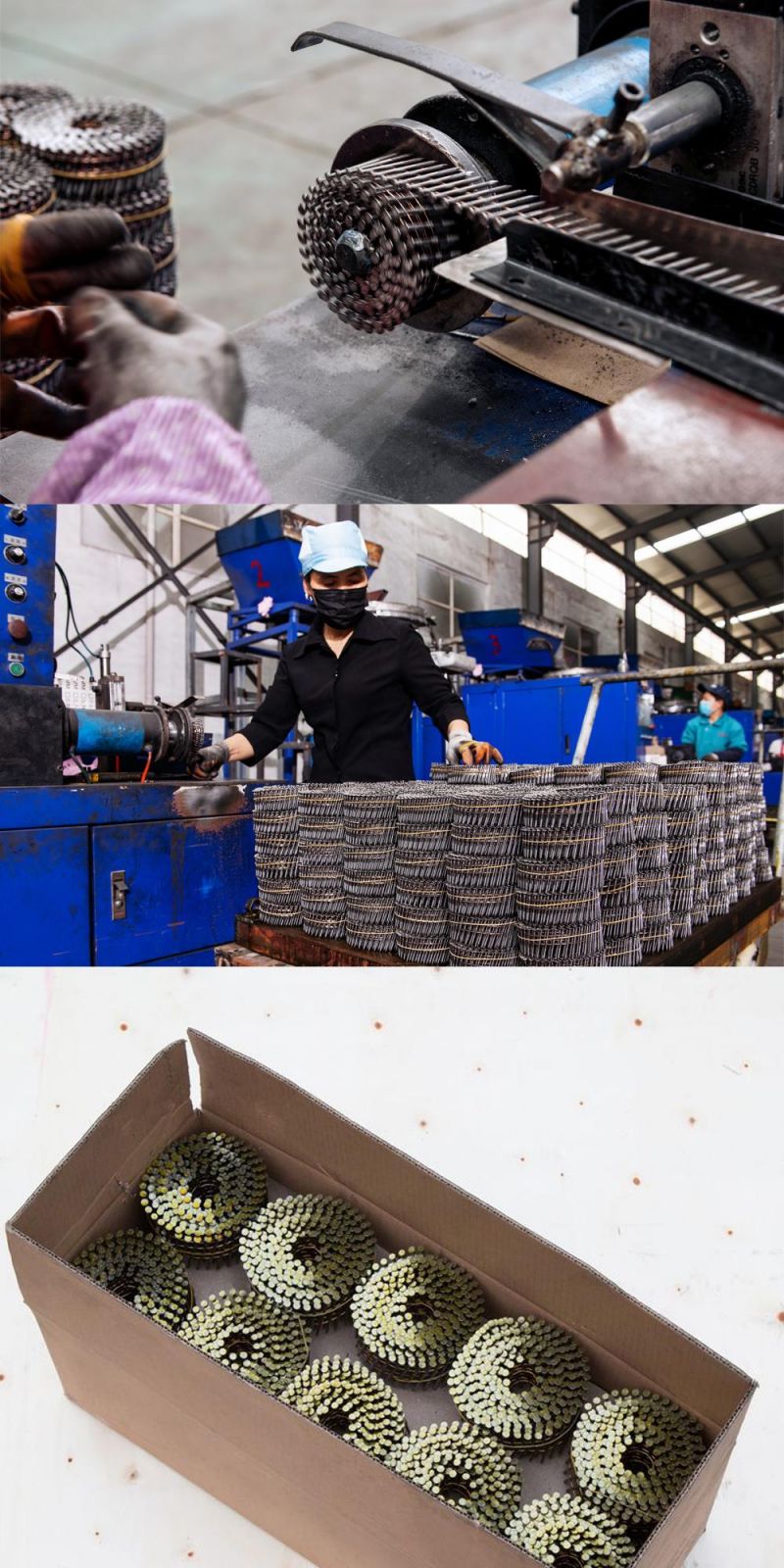 Pneumatic Painted Pallets Coil Nails with Screw/Ring Shank