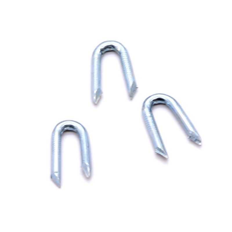 Thailand Laos Vietnam Philippines Singapore Market/Galvanized U Shape Nails/ U Staples