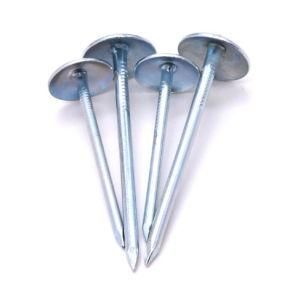 Hot Sale Galvanized Umbrella Head Roofing Nails (Factory)