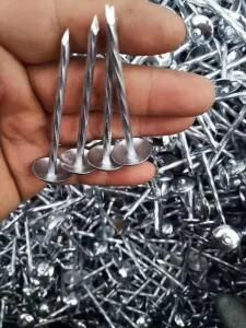 Good Quality Galvanized Concrete Building Steel Nails