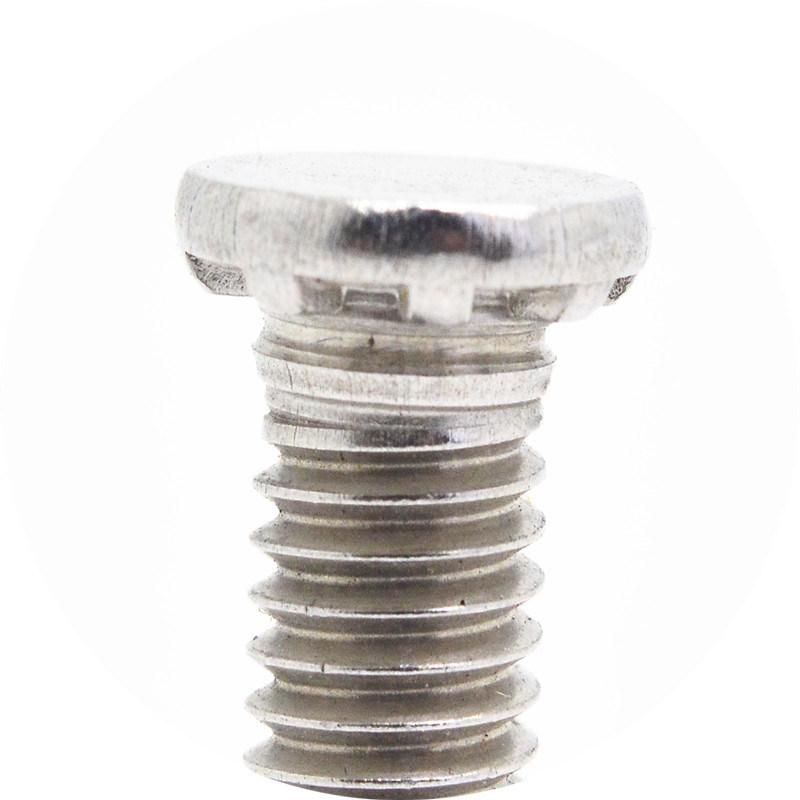 Stainless Steel Customized Welding Screw