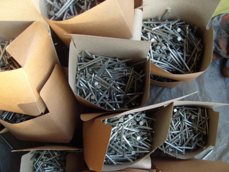 High Strength Concrete Steel Nail/High Hardness 55# Concrete Nail