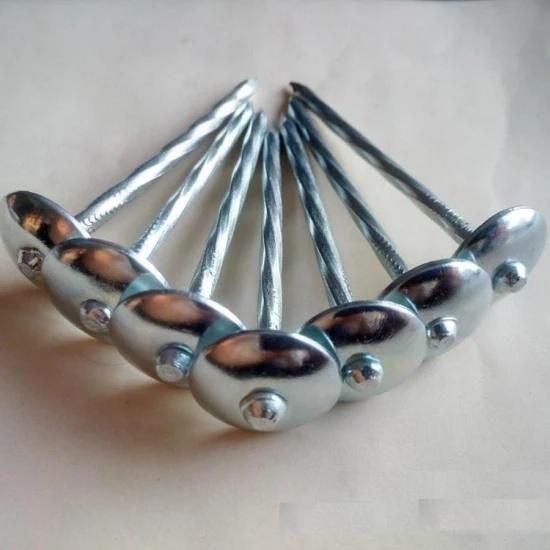 Factory Manufacture Cheap Price 3.125kg/Box 25kg/Carton Bwg10*2.5 and Bwg 12*2 Galvanized Roofing Nail with Unbrella Head for Africa Market