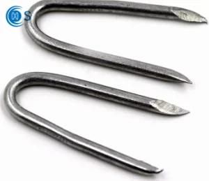 Promotional Galvanized Steel U Type Nails