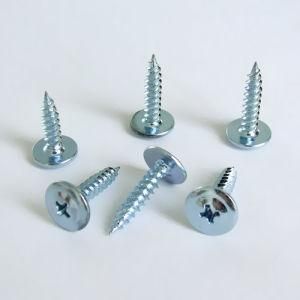 Screw/Self-Tapping Screw/Galvanized DIN Truss Head Sheet Metal Screw