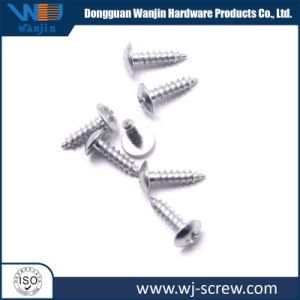 Stainless Steel Screw Self Tapping Screw Self Drilling Screw Deck Screw Machine Screw Wood Screw