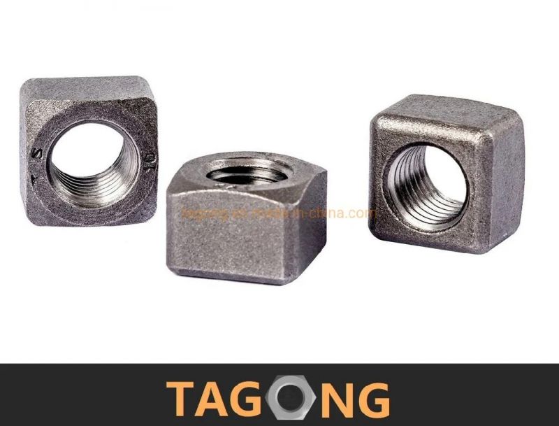 Carbon Class12 6h M20 Square Nuts Truck Nuts