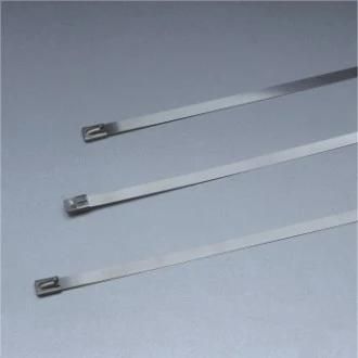 Good Quality Stainless Steel Strips with Steel Band Buckle/Line Hardware