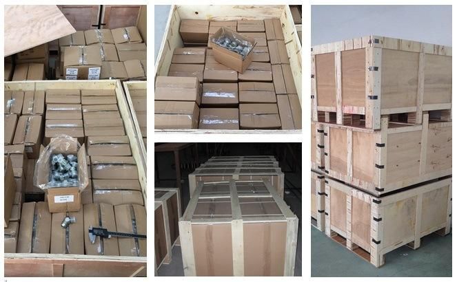 Metric Female Multiseal Female Hydraulic Hose Fittings