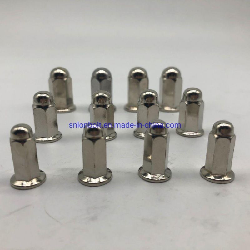 Cap Nut Domed Cap Flange Nut Lug Nut Nickel