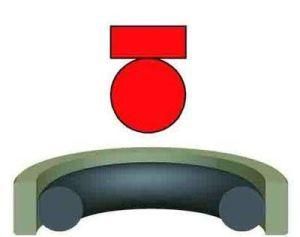 Rubber Grommet Very Delicate Polytetrafluoroethylene Glyd Ring