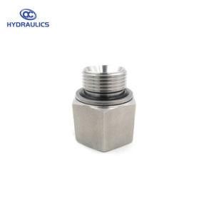 Bsp Adapter Stainless Steel Bsp Male to NPT Female Reducer