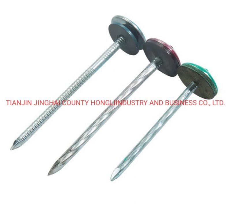 3" X 9ga 25kg Box Galvanised Roofing Nails Umbrella Head with Rubber Washer