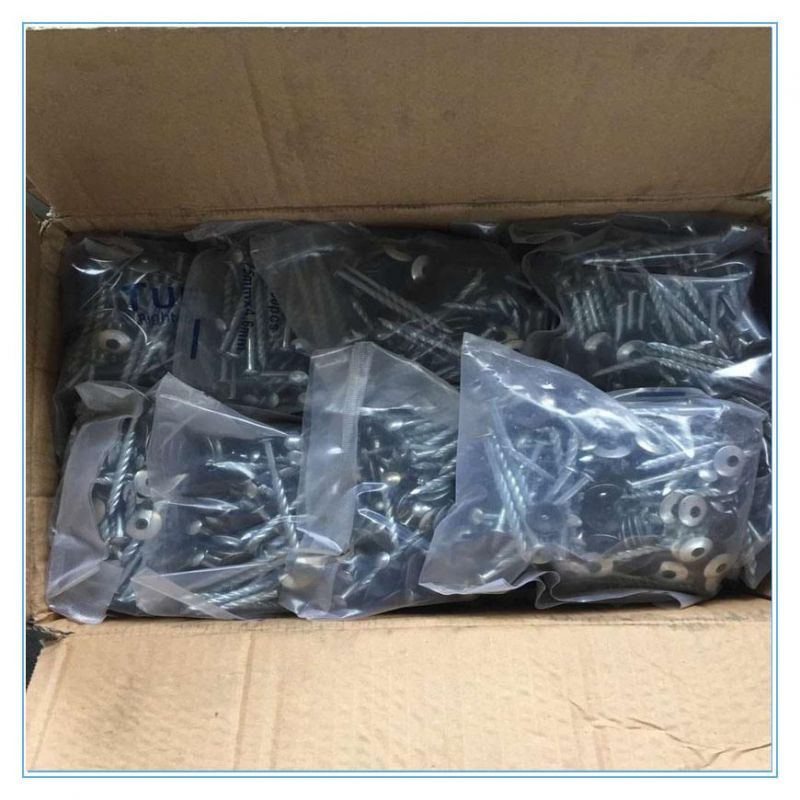 High Quolity Umbrella Head Roofing Nails with Factory Price 2.5"*10bwg