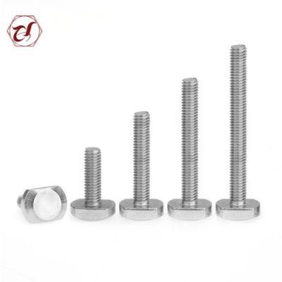 Stainless Steel 316 T Head Hammer Bolt with Low Price 304 T Bolt