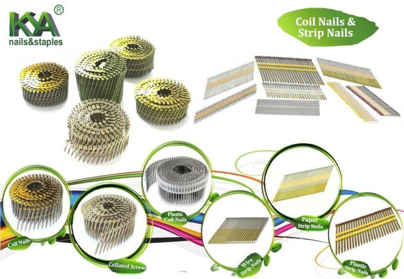 15 Degree Square Head Zinc Collated Nail Screw