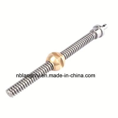 Set Customized Trapezoidal Thread Shaft Lead Screw with Bronze Ball Screw Nut