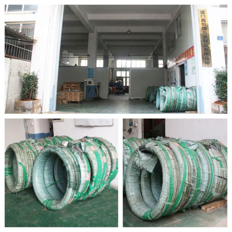 Grade 4.8-8.8 Is Used for Automobile Inner Hexagonal Long Bolts