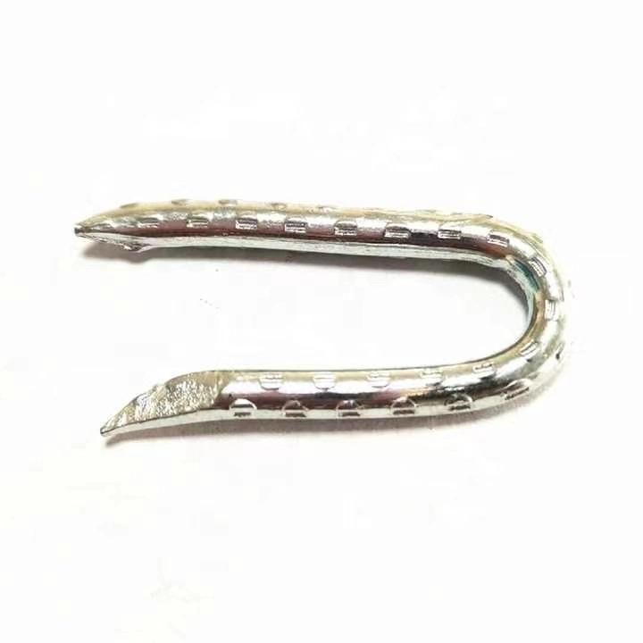 Sharp Point U Nails /Fence Staple/Electrol Galvanized High Quality Lower Price