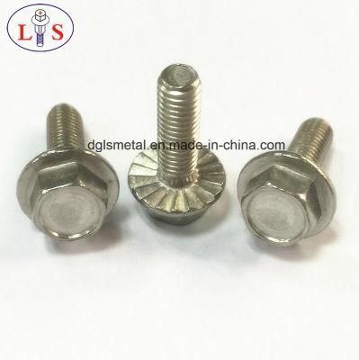 Ss 304 Hex Bolt and Hexagon Head Bolt with Collar