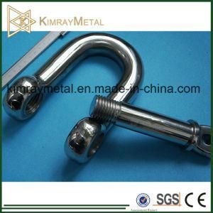 Stainless Steel Heavy Duty Screw Pin Chain Shackle with Oversized Pin
