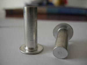 Aluminum Rivets for Auto Parts