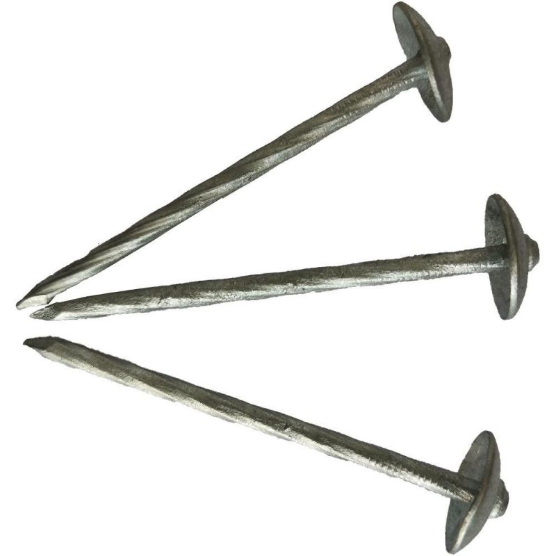 Hot Sale Q235 Iron Nail Perfect Quality Electric Galvanized Roofing Nail with Plain Shank and Twisted Shank