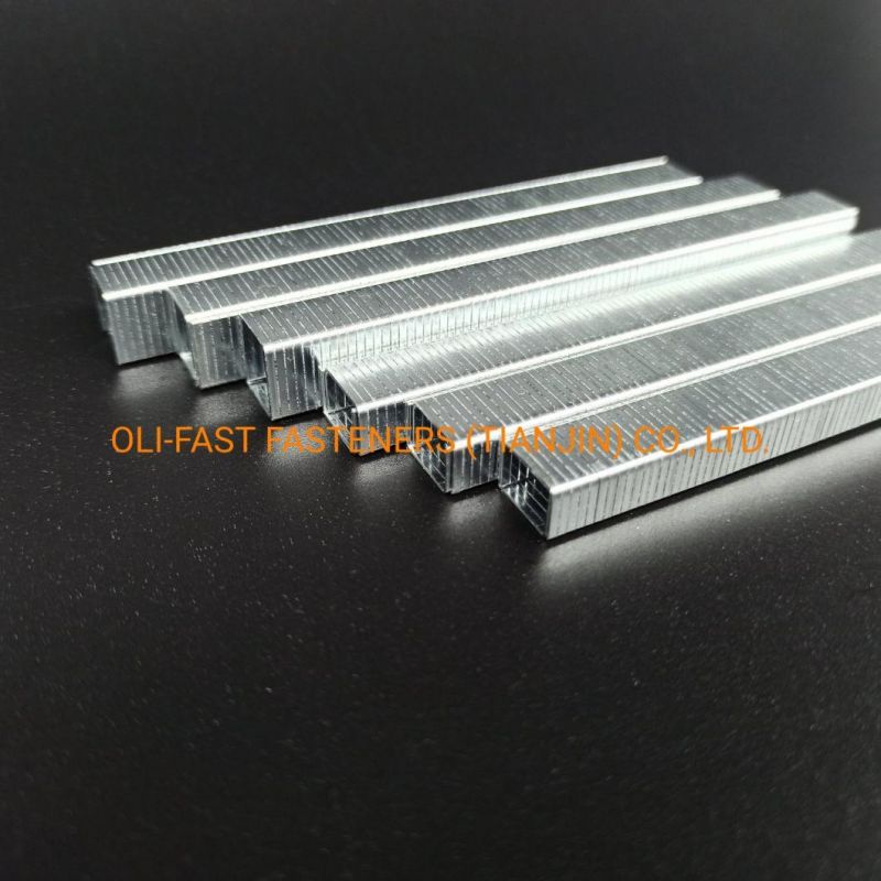 20ga T50 Fine Wire Staples for Upholstery 1/2 Inch Staples