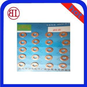 Copper Gasket