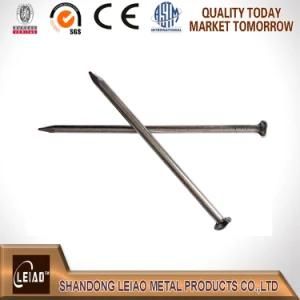 Common Iron Wire Nail