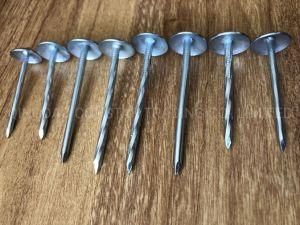 Nice Price Twisted Shank Roofing Nails with Umbrella Head