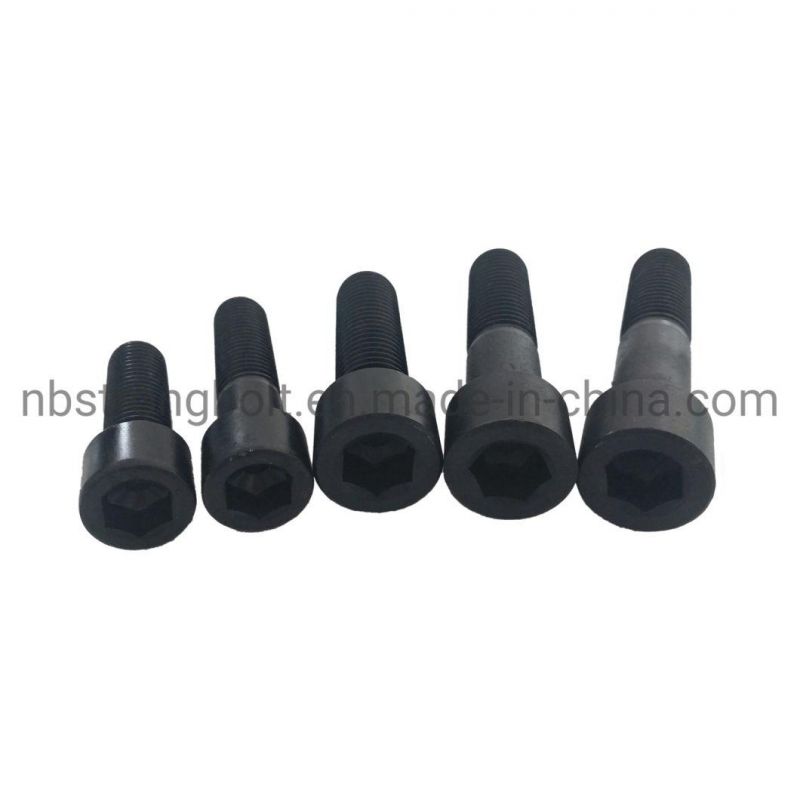 Hex Socket Screw with Black