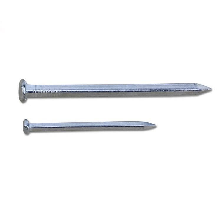 Myanmar Thailand Laos Singapore Market/Electro Galvanized Square Boat Nails for Boat Square Boat Nails