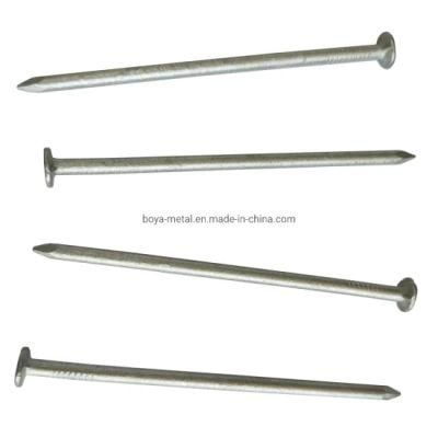 Factory 1&quot;-6&quot; Galvanized Common Nail