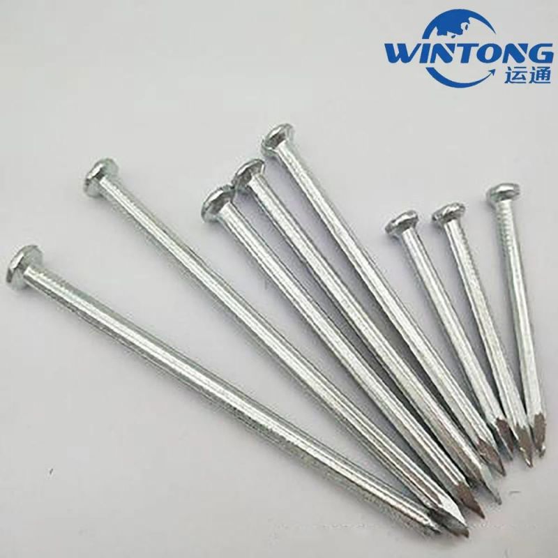 Straight Grain Cement Nail, Galvanized Cement Nail, Cement Nail Factory Price